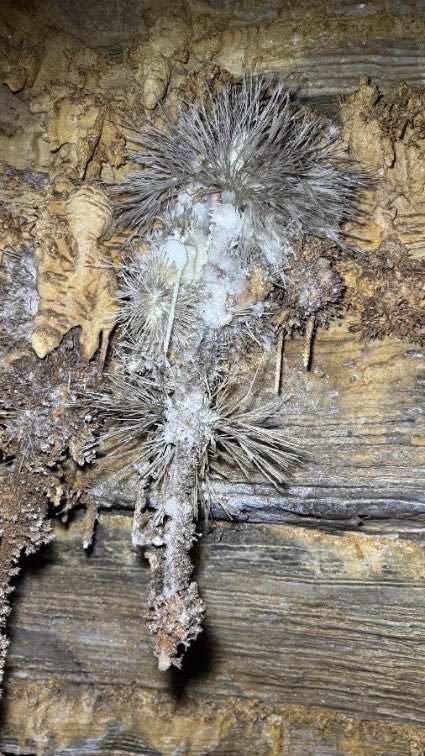 Formações da Gruta da Torrinha