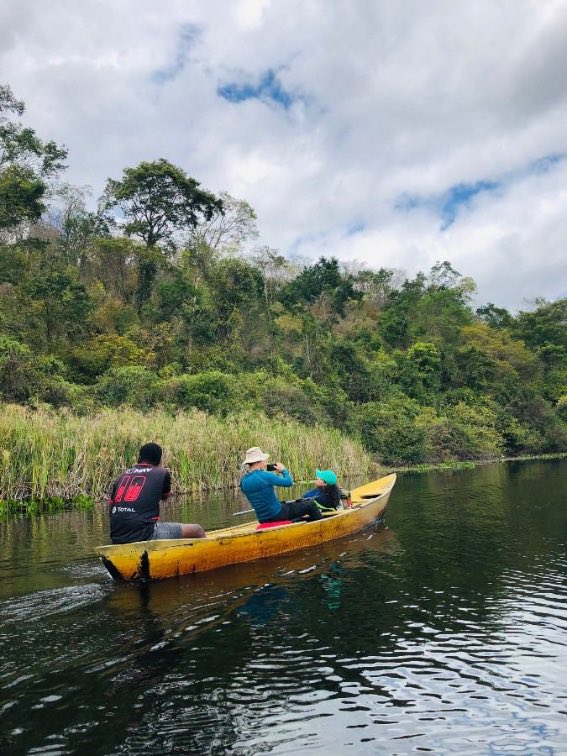 Marimbus — Mini Pantanal