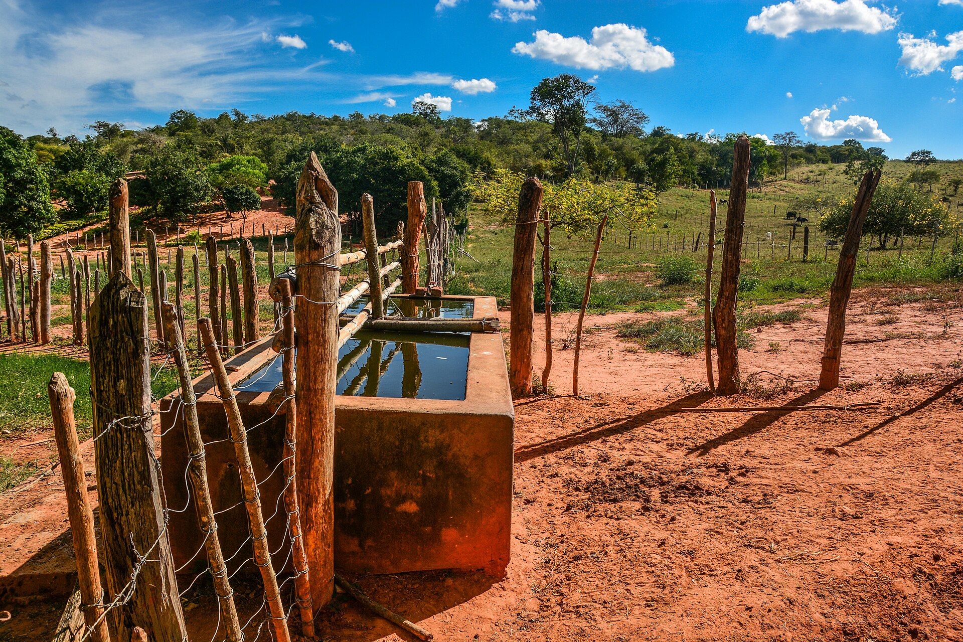 Fazenda Pratinha — foto 5