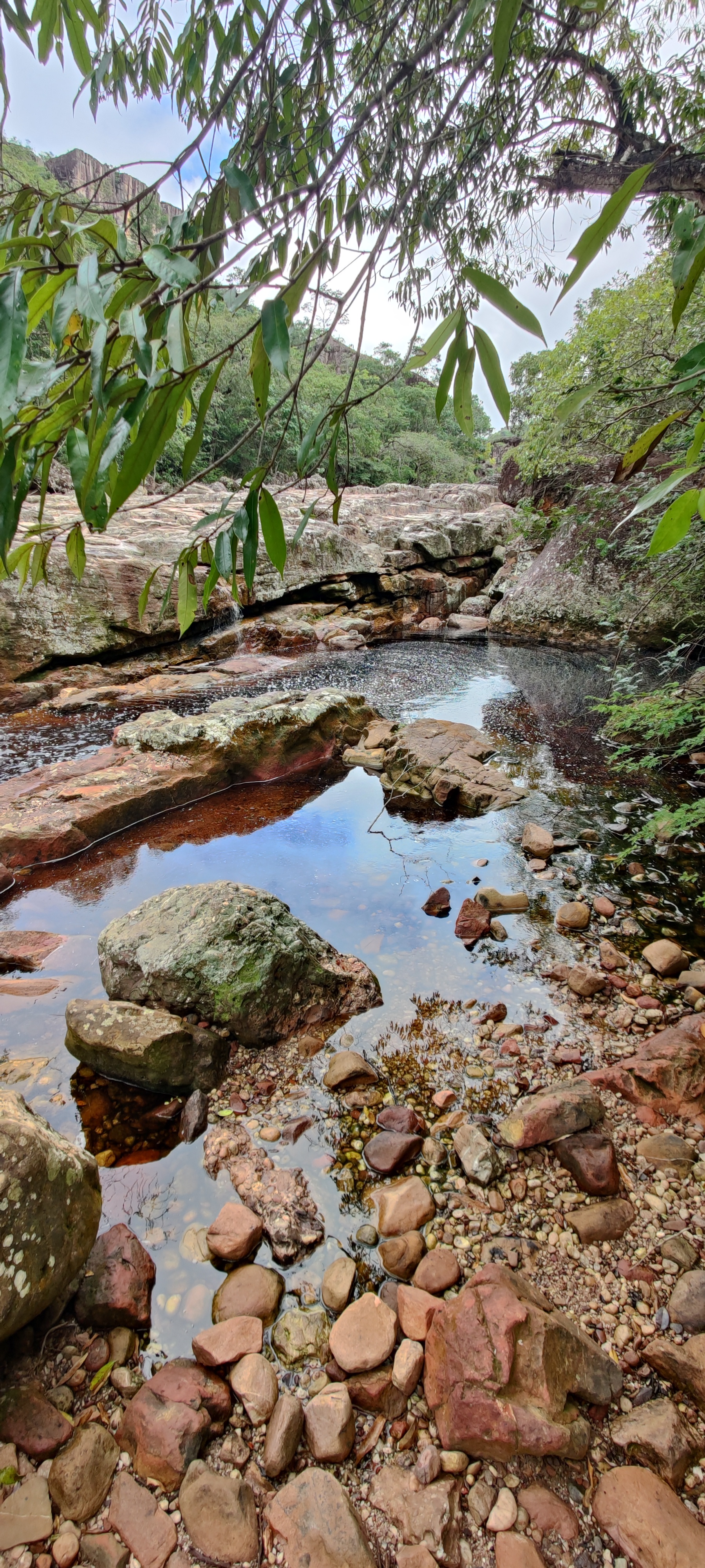 Parque da Muritiba — foto 3
