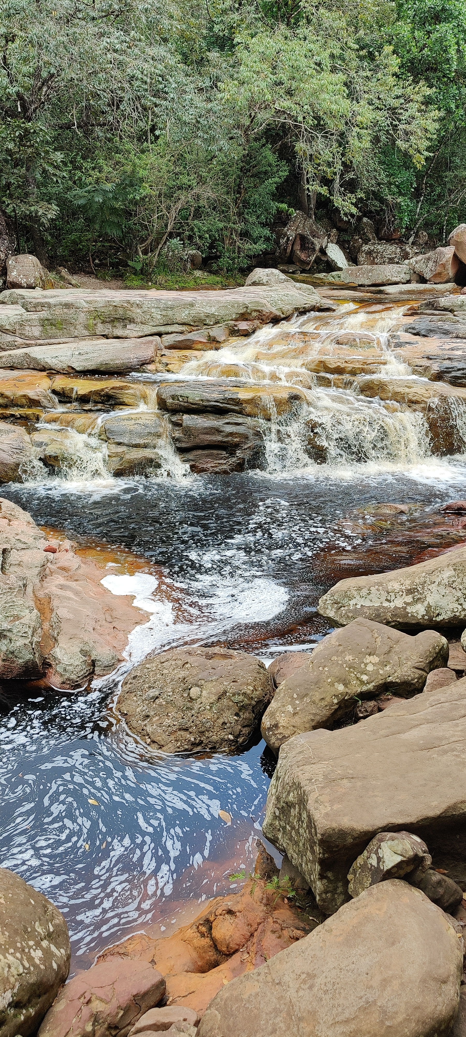 Parque da Muritiba — foto 2